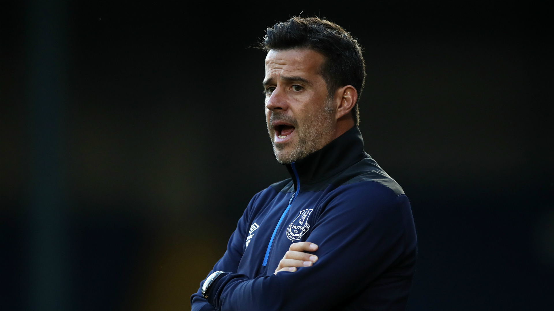 意大利与德 意大利与德